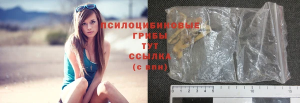 гашик Абдулино