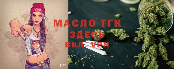 СК Алексин