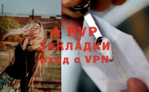 крисы Абаза