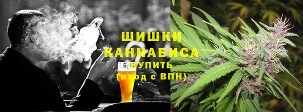 крисы Абаза