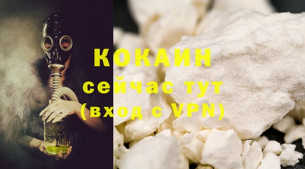 крисы Абаза