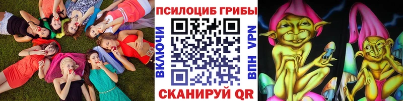 цены мега ТОР Галлюциногенные грибы Psilocybine cubensis Вышний Волочёк